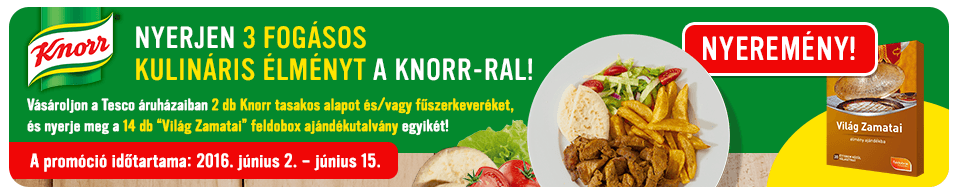 Nyerjen 3 fogásos kulináris élményt a Knorr-ral! TESCO - Knorr 